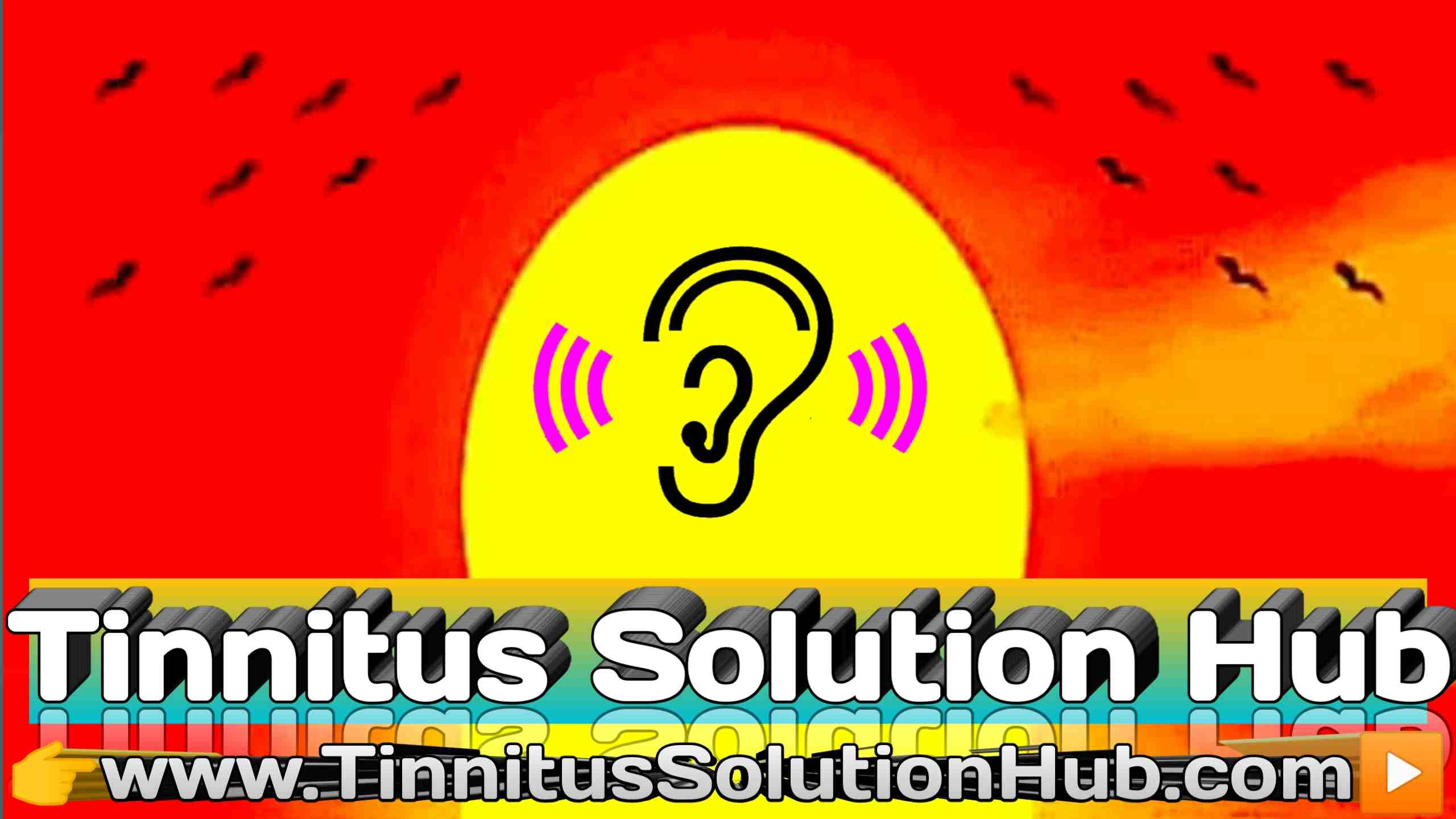 Tinnitus Solution Hub